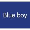 Blue Boy au meilleur prix !
